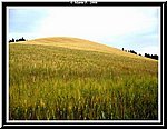 Collina di Frumento.jpg
