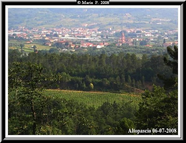 Panorama.jpg