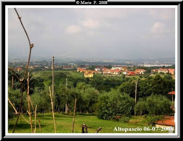 Panorama1.jpg