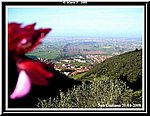 Panorama.jpg
