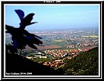 Panorama1.jpg