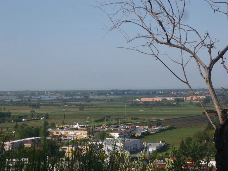 P.Del Quercione 022.JPG