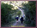 IMG_6139.JPG