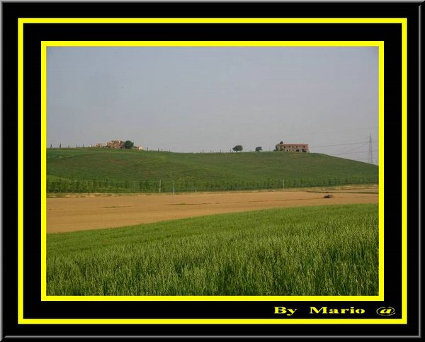 Belle Collinette  !!.jpg