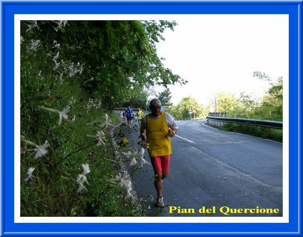 Si corre tra i fiori.jpg