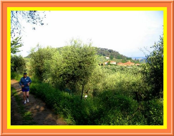 Si sale tra il verde.jpg