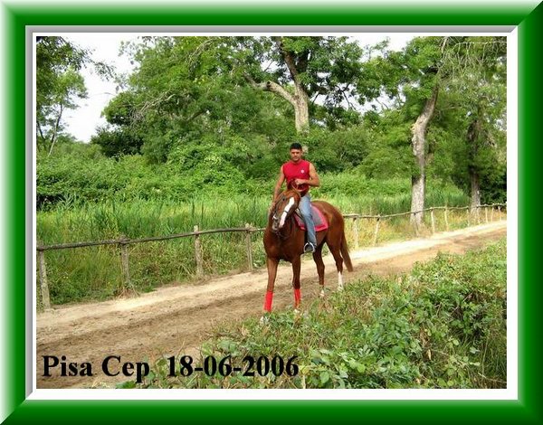 Allenamento cavalli  !!.jpg