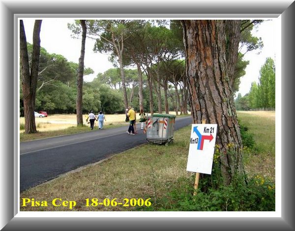 Bella decisione!!!.jpg