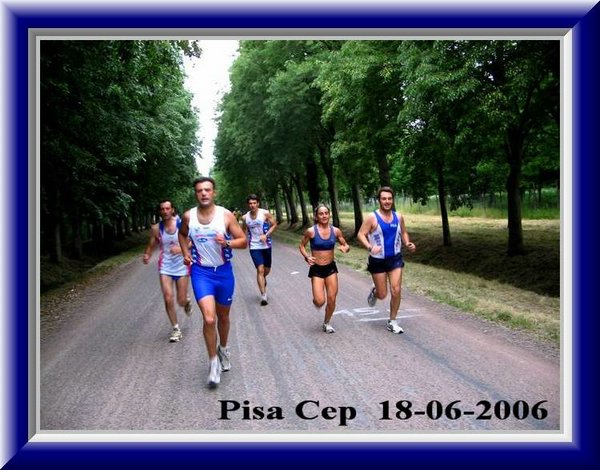 Mucchio Selvaggio  !!.jpg