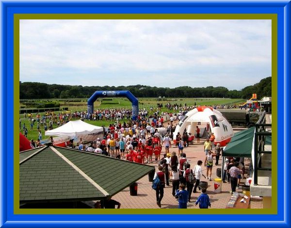 Visti dall'alto  !!.jpg