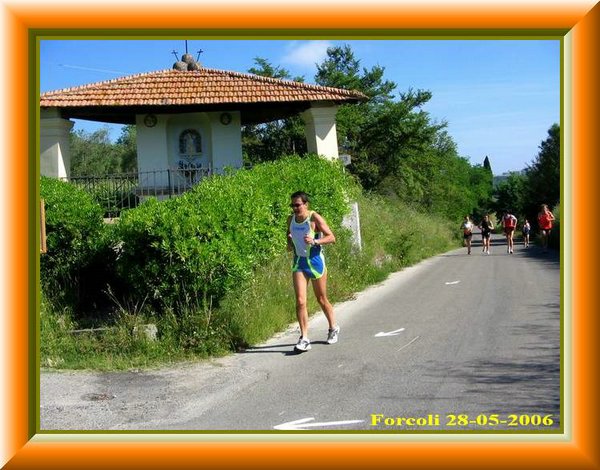 Avvocato in Fuga  !!.jpg