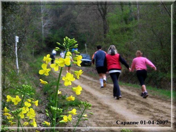 Podiste in Fiore.jpg