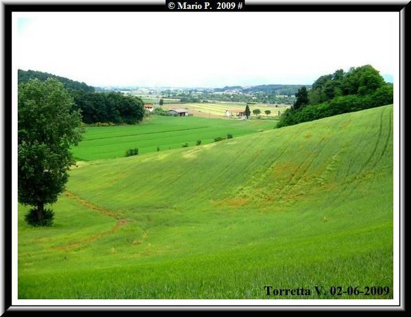 Colline5.jpg