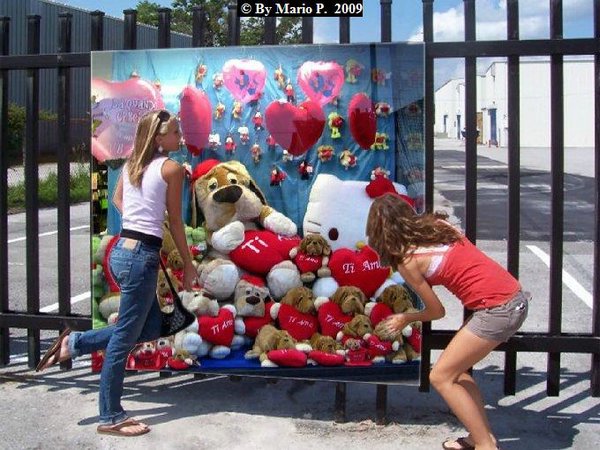 Vetrina S.Valentino.jpg