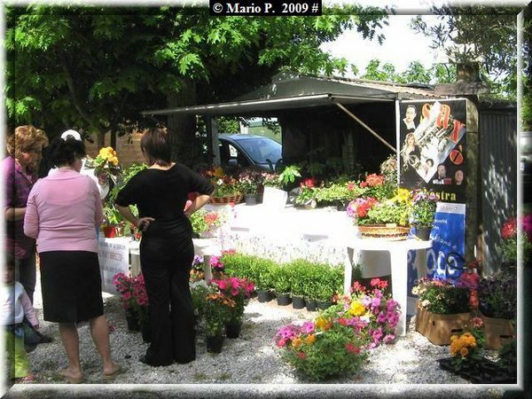 Festa della Mamma.jpg