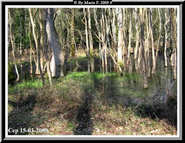 Parco abbandonato1.jpg