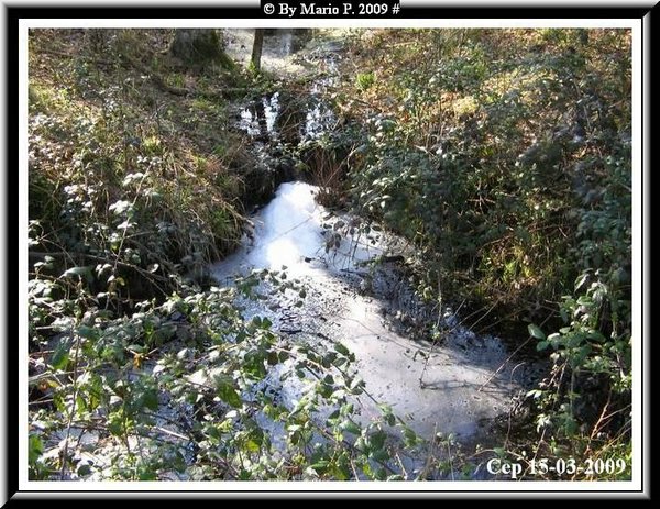 Parco abbandonato4.jpg