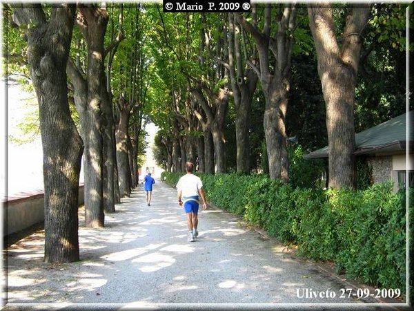 Viale1.jpg