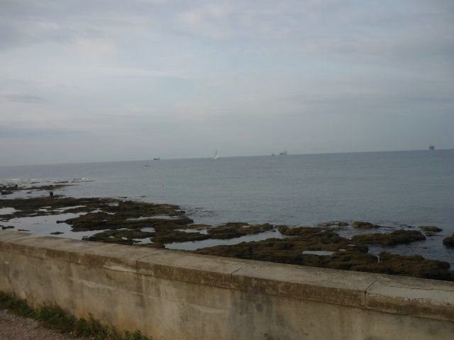 livorno donna 030.JPG