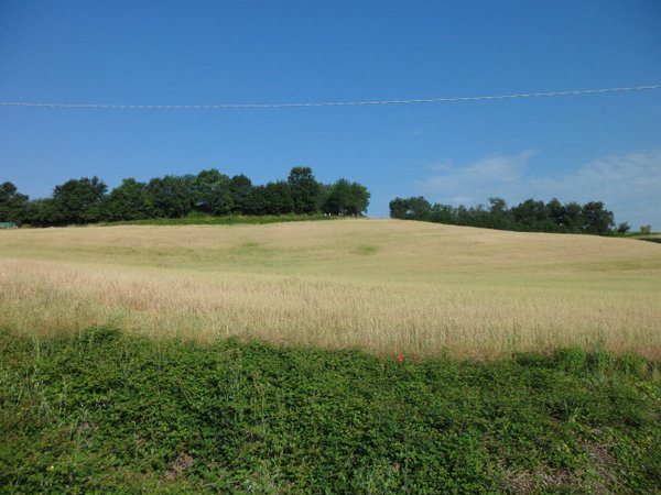 TORRETTA VECCHIA011_.JPG