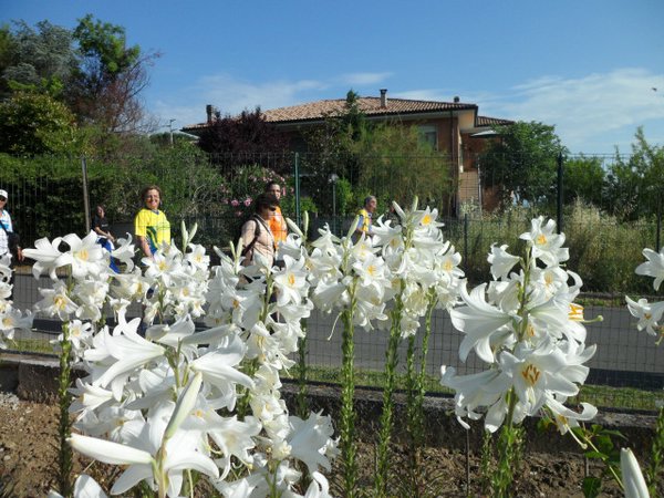 TORRETTA VECCHIA012_.JPG