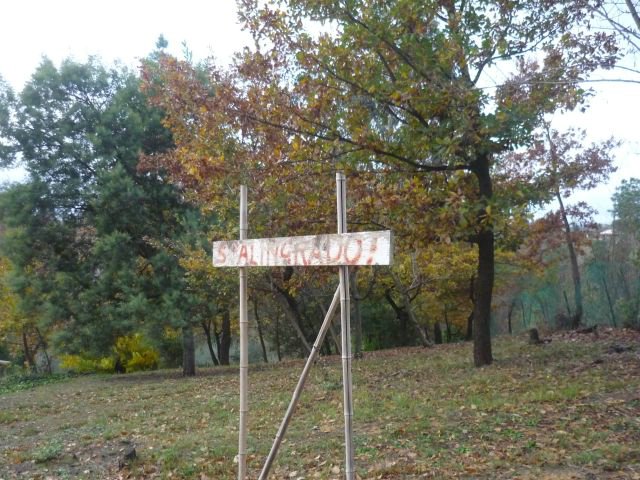 mob Ponsacco 017.JPG