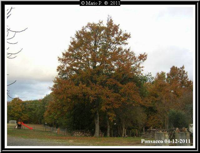 Pastellli Naturali6.jpg