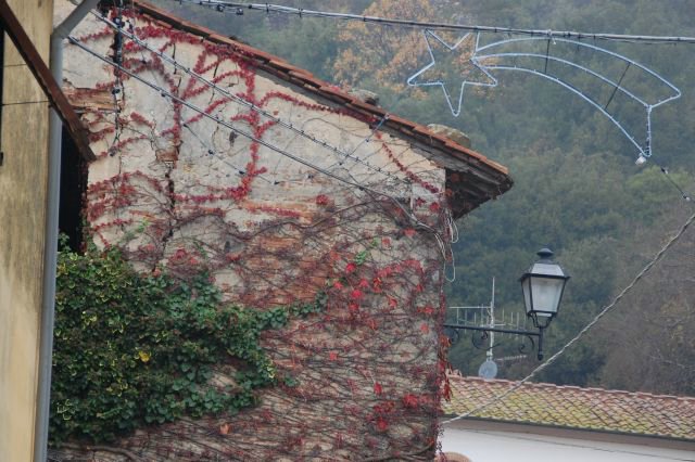 M.Titignanese 097.JPG