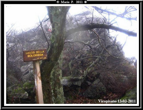 Sasso Dolorosa.jpg