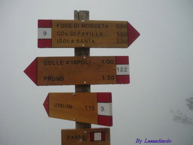 Levigliani 2011_026_.JPG