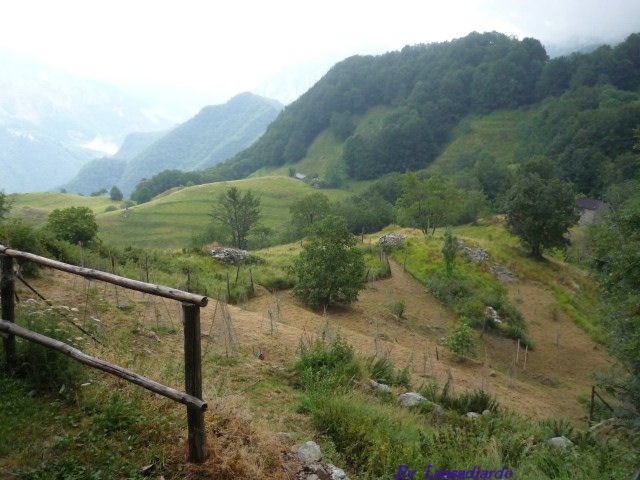 Levigliani 2011_044_.JPG