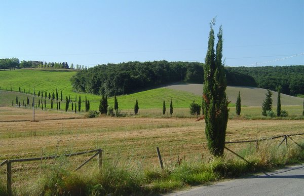 Paesaggio 2.JPG
