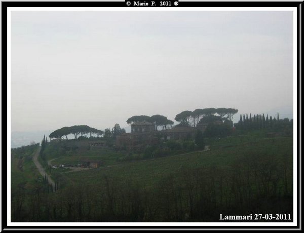 Cascinale nella nebbia.jpg
