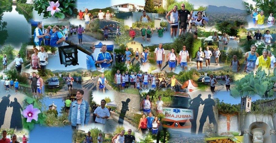 ponte 346_AutoCollage_50_Images.jpg