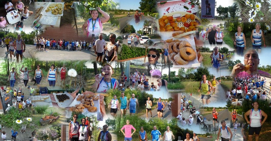 sta 316_AutoCollage_43_Images.jpg