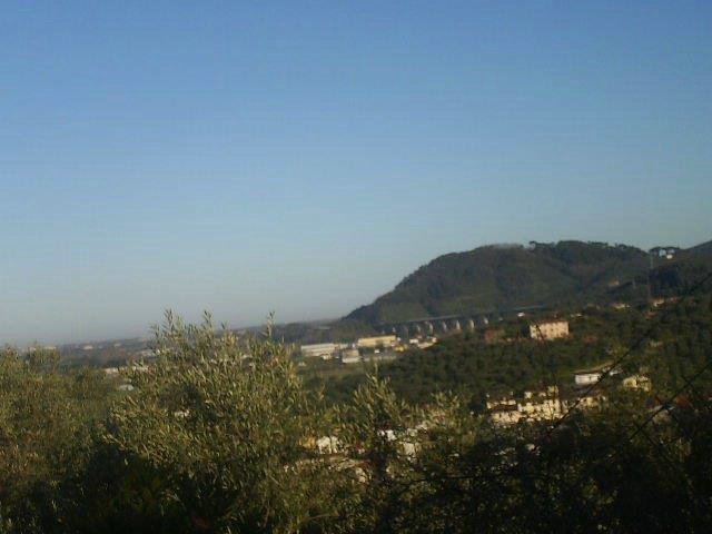 Massarosa Corre 009.jpg