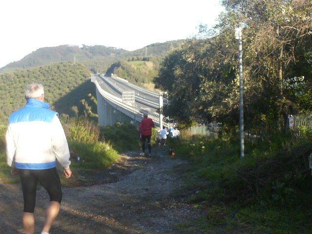 Massarosa Corre 011.jpg