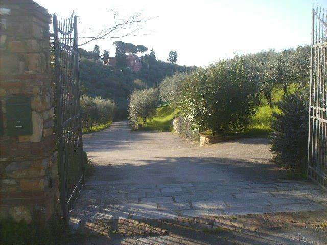 Massarosa Corre 013.jpg