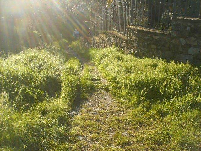 Massarosa Corre 014.jpg