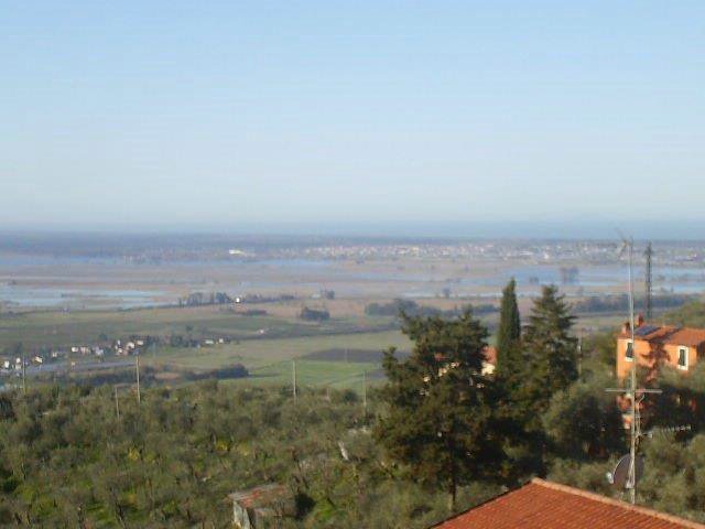 Massarosa Corre 016.jpg