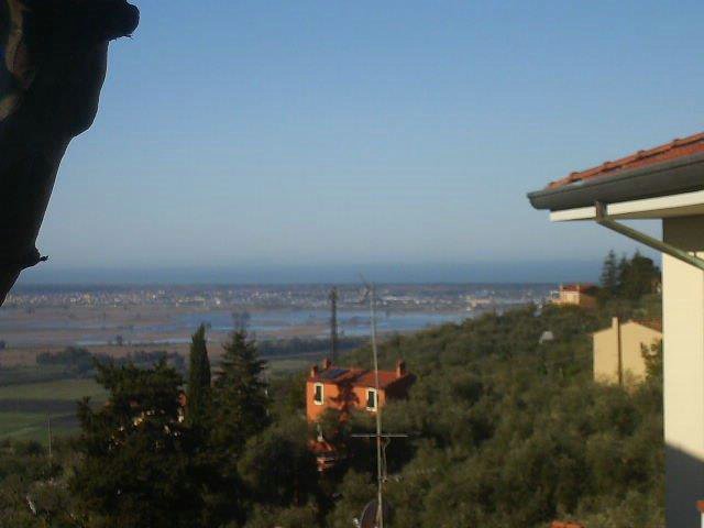 Massarosa Corre 018.jpg