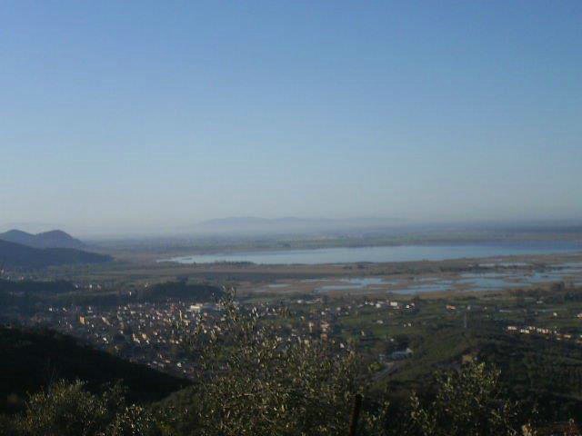 Massarosa Corre 019.jpg