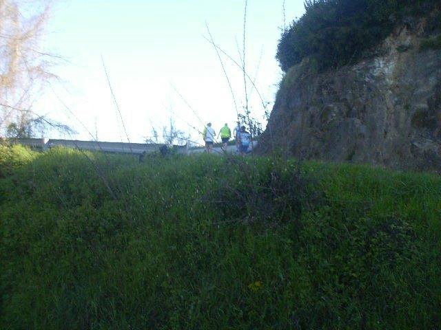 Massarosa Corre 024.jpg