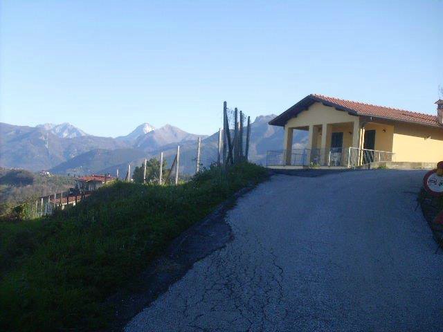 Massarosa Corre 025.jpg