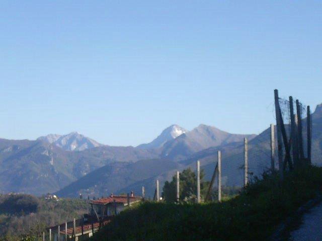 Massarosa Corre 026.jpg