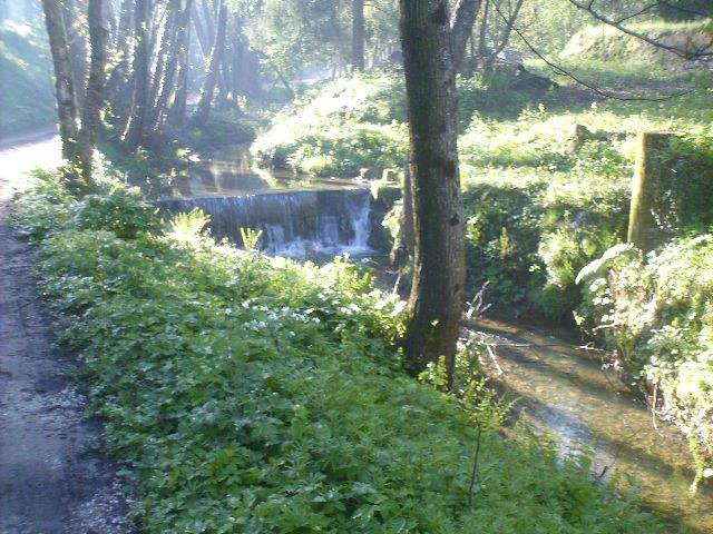 Massarosa Corre 027.jpg