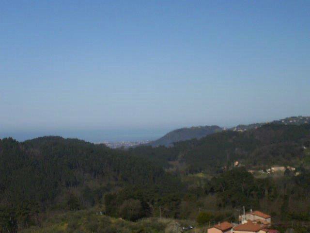 Massarosa Corre 028.jpg