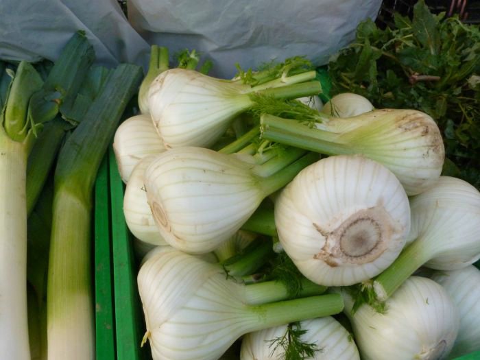 cascine di buti_07.JPG