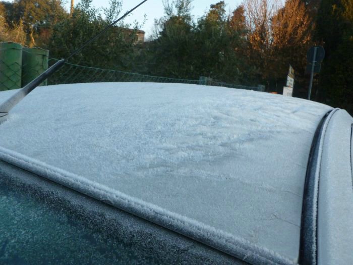 cascine di buti_13.JPG