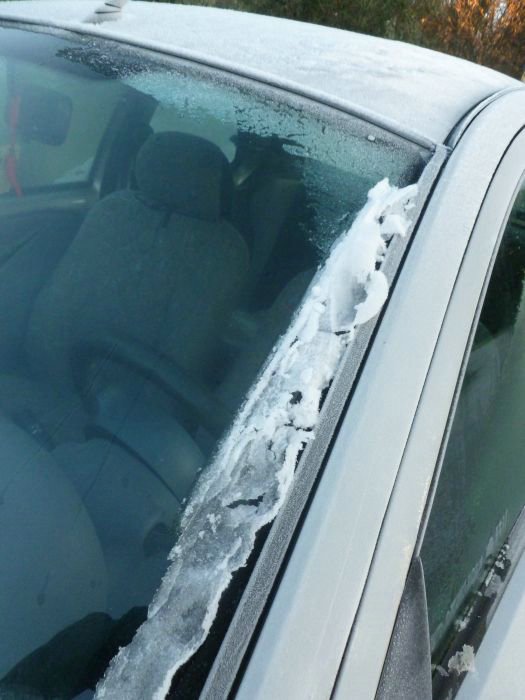 cascine di buti_14.JPG